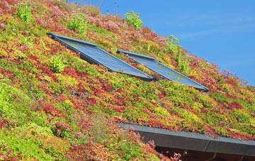 Leckhampstead living roof systems
